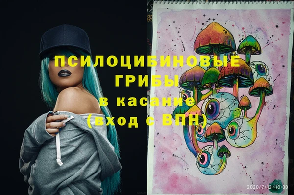 спиды Навашино