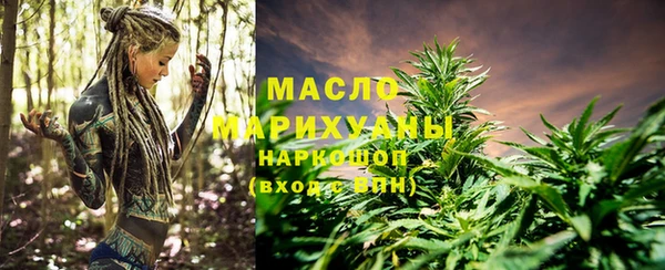 СК Алексин