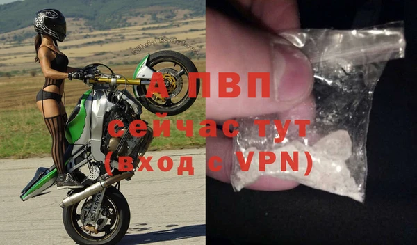 спайс Арсеньев