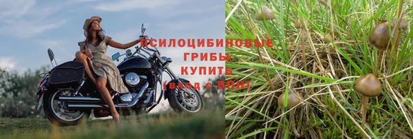 спайс Арсеньев