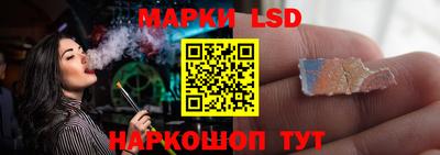 spice Кунгур