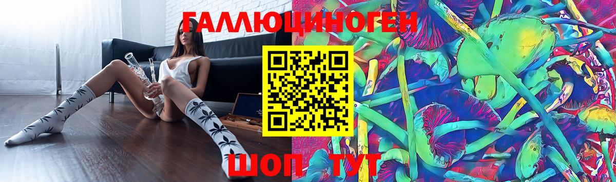 Галлюциногенные грибы Psilocybine cubensis Коломна